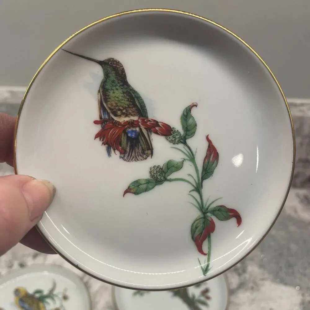 Set of 6 Vintage Fürstenberg Germany Bird Plates - Hummingbird & Songbird Decor